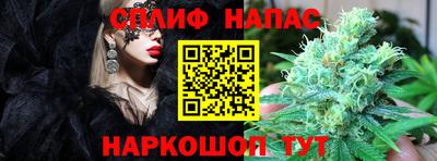 прущие грибы Тара