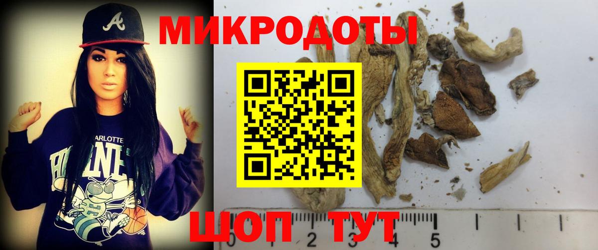 Галлюциногенные грибы Psilocybe  Вход с VPN  Осинники 
