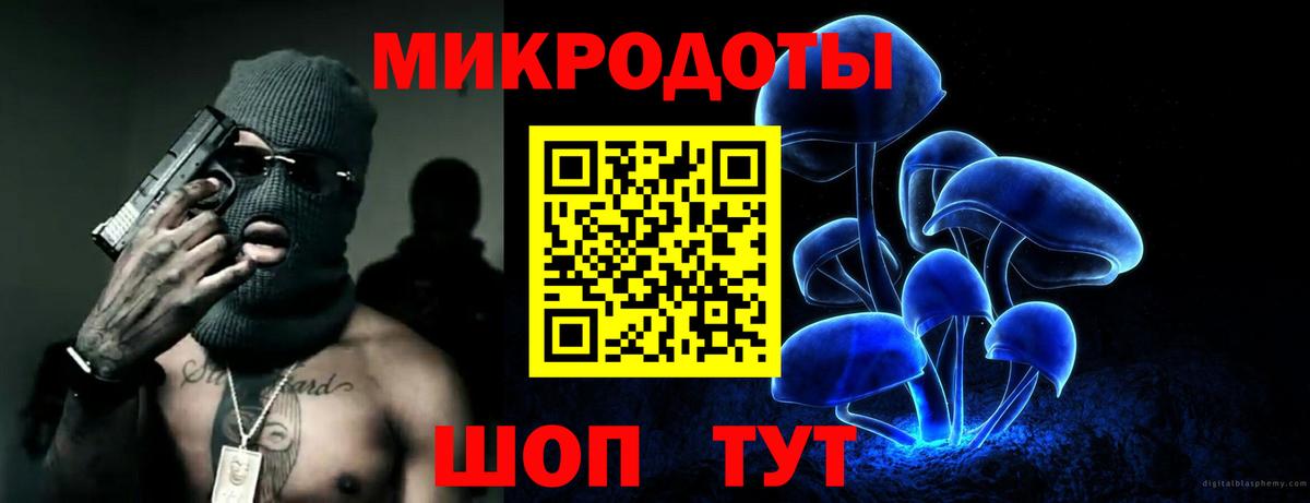 Псилоцибиновые грибы Psilocybine cubensis Осинники